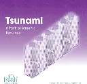 3FRSTSU00610061_fabulous_AC_SX466_.webp