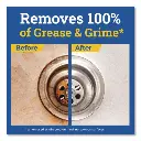 409 Cleaner15154819.webp