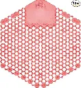 Urinal Screen 3D Kiwi Grapefruit 10/Box